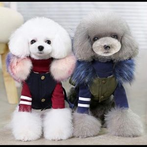 🐾 Fur Hood Winter Jacket For Dogs 🐾